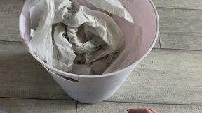 The reality of beta-lochan is my trash can = your dinner