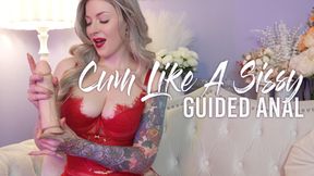 Cum Like A Sissy - Guided Anal