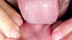 Sweet Tasty Treat - MolliPoP