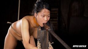 An Object Worth Fucking