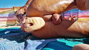 Extreme closeup of Key West using his Big Ben at the beach