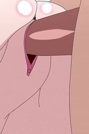 One Piece Joy Girl(bonney) Hen