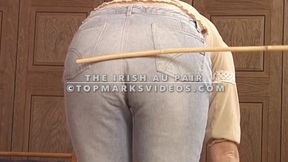 The Irish Au Pair's Lesson Part 1 WMV Version
