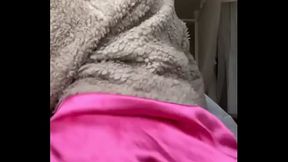 Sexy stallion throwing ass