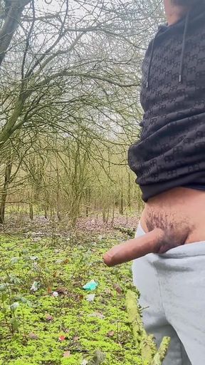 Showing off My Huge Dick for the Lorry Driver