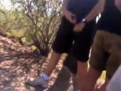 Cruising in a Spanish Forest