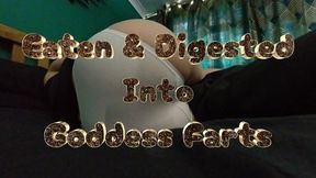 Eaten & Digested Into Goddess Farts - White Panties Giantess Vore - 360VR