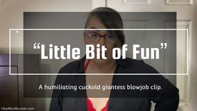 Little Bit of Fun HD