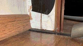 A huge web has taken over my home wmv