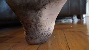 ARIEL - Everybody will see how pathetic you are! - Muddy feet licking