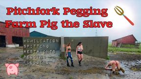 PitchFork Pegging Farm Pig - A Day In The Life Featuring Goddess Jordyn - Humiliation, Pegging, Spitting, Restraints, Flogging