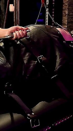 Sadistic CBT Plays with My Maso Slave