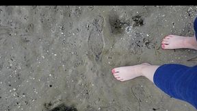 A walk on the beach with wet sand, wet grass and water