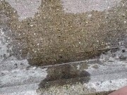 Relief on the Stoop- almost caught ! trans piss