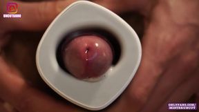 SPUNK TWO TIMES! SUPER HOT FURRY GERMAN BOY! UNCIRCUMCISED PINK CIGAR & LOVENSE CALOR