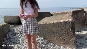 Girl flashed her pussy on the bus &mdash;  i got excited and offered her to have sex on the beachnijn2