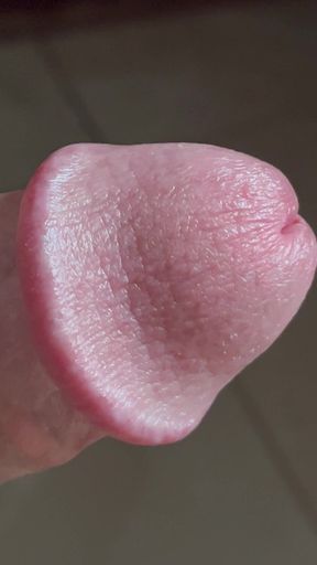 Closeup of Penis with One Vein