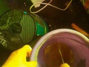 pissing wearing metal cockring jockstrap with cup