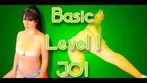 Another Beginner Level 1 JOI wmv