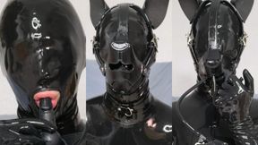 Rubber pet plays with inflatable gag and cums