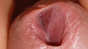 Super Daddy Enlarged Hole Pulsing with Horniness.