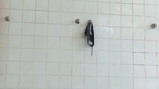 Amateur big cocks outdoor cam: public sex 2 guys big dicks handjobs