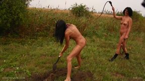 Tanita - The Dig With Queen Snake