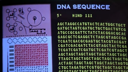 Spcis.1.1995 - Natasha H.movv Vie