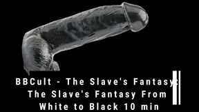 BBCult - The Slave's Fantasy: The Slave's Fantasy From White to Black 10 min