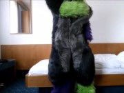 Under the cute Wolf is a locked Kinkster