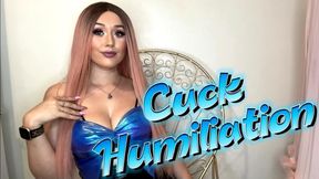 Cuck Humiliation