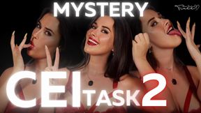 Mystery CEI Task 2