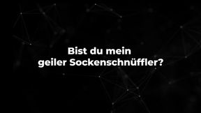 Bist du mein geiler Sockenschnüffler?