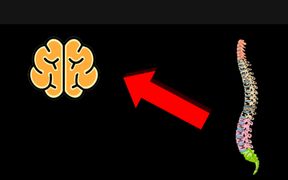 The Science Behind Male Multiple Orgasms