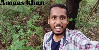 Jungle my Mangal part 1
