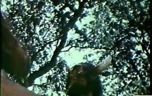 European Peepshow Loops 200 1970s - Scene 1