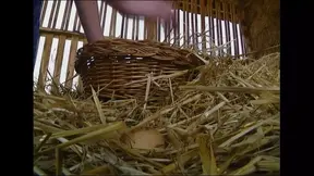 Outdoor fuck session with sexy babes