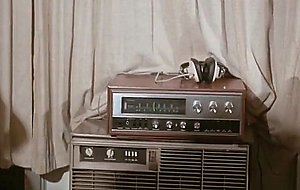 Cock cougar, antique ebony 70s