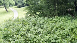 Crazy girl gives sloppy handjob in a highly frequented park with a huge cumshot - risky!