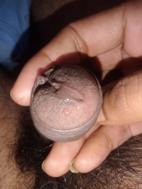 The neighbor's aunt called the house all night