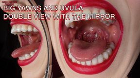 BIG YAWNS AND UVULA - DOUBLE VIEW WITH THE MIRROR (Video request)