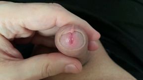 small forskin penis