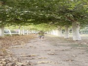 Risky Flash Cock In The Street, Cruising Gay Video