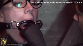 Mistress Trains Her Sub