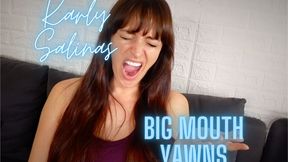 Karly Salinas Big Mouth Yawns HD 720p MP4