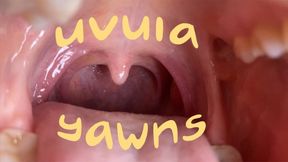 Uvula & yawning
