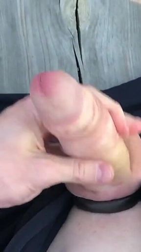 Those Day Is the Best Days, When You Can Walk Freeeee