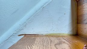 Walking up and Down Stairs