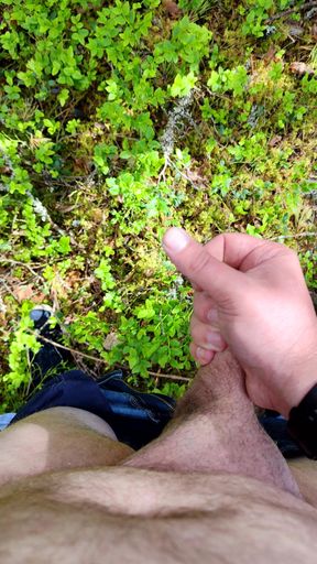 Horny in Forest