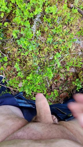Horny in Forest